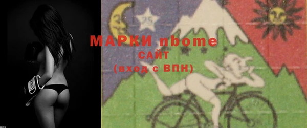 индика Арсеньев