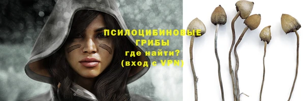 соль курить ск Аркадак
