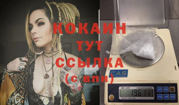 индика Арсеньев