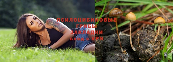 индика Арсеньев